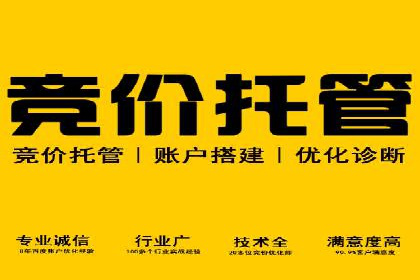 提升广告ROI的秘密：sem账户托管全解析